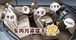 車內甲醛正常值以及車內放什么東西可以除甲醛？